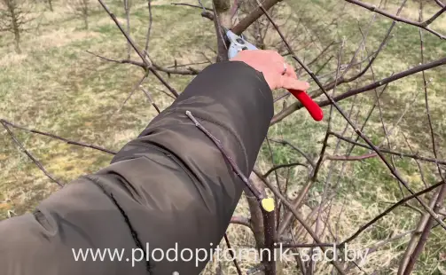 Превью видео