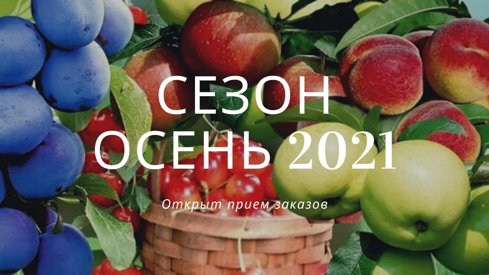 Открыт прием заказов на осень 2021 Открыт прием заказов на осень 2021