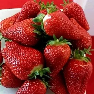 Клубника БРИЛЛА  Клубника БРИЛЛА в Екатеринбурге