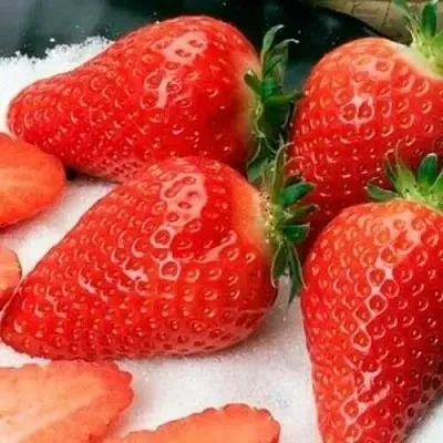 Клубника АЛЬБА  Клубника АЛЬБА в Екатеринбурге