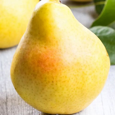 Желтая в Екатеринбурге